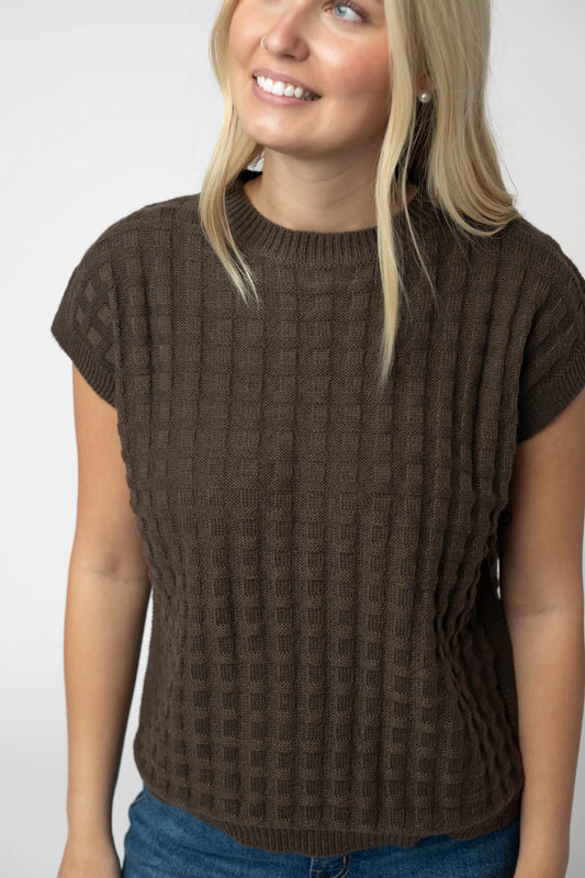 Brown Knit Short Sleeve Top