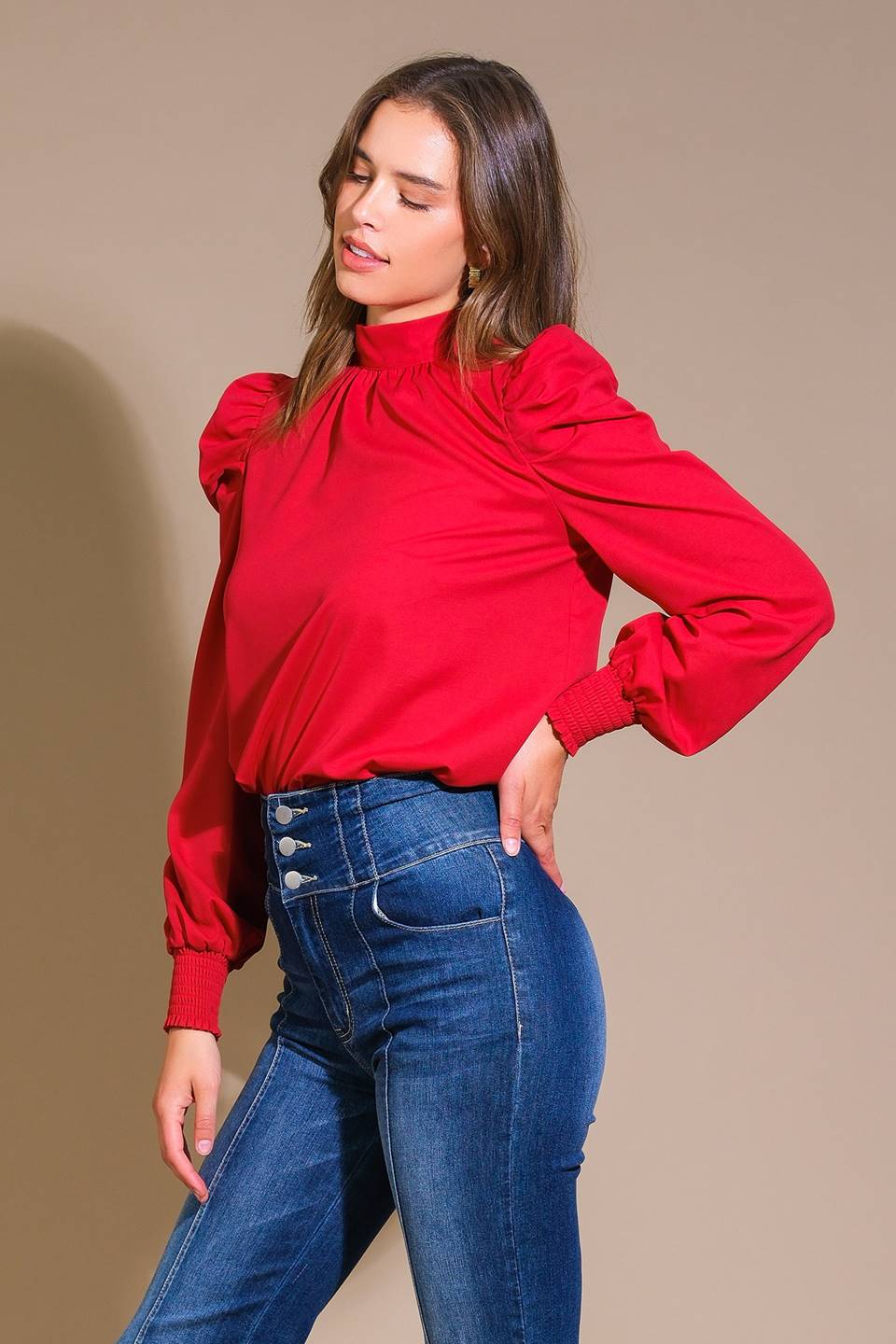 Woven Puff Sleeve Long Sleeve Blouse - 2 color options