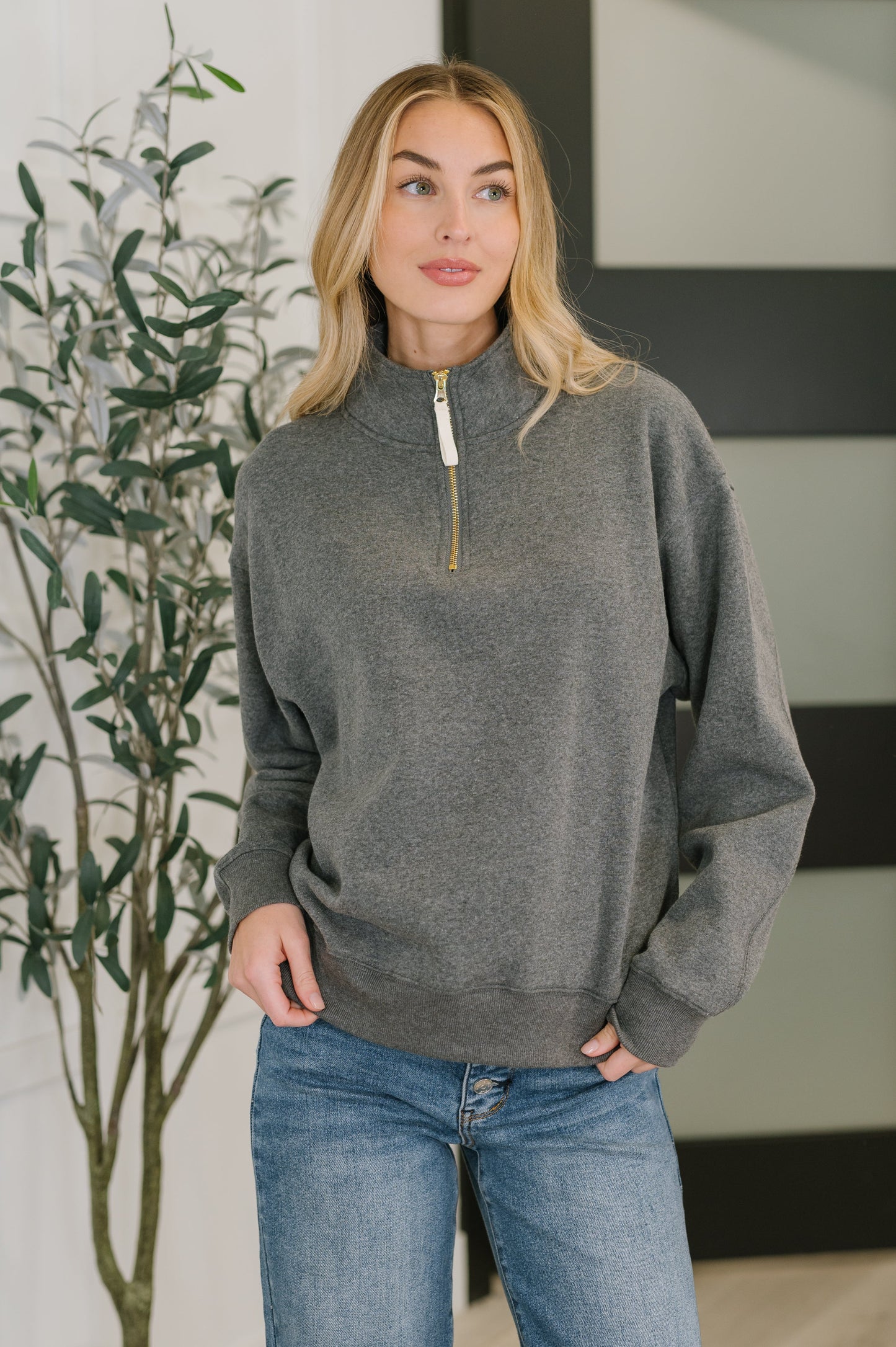 Zenana Half Zip High Neck Pullover in Charcoal